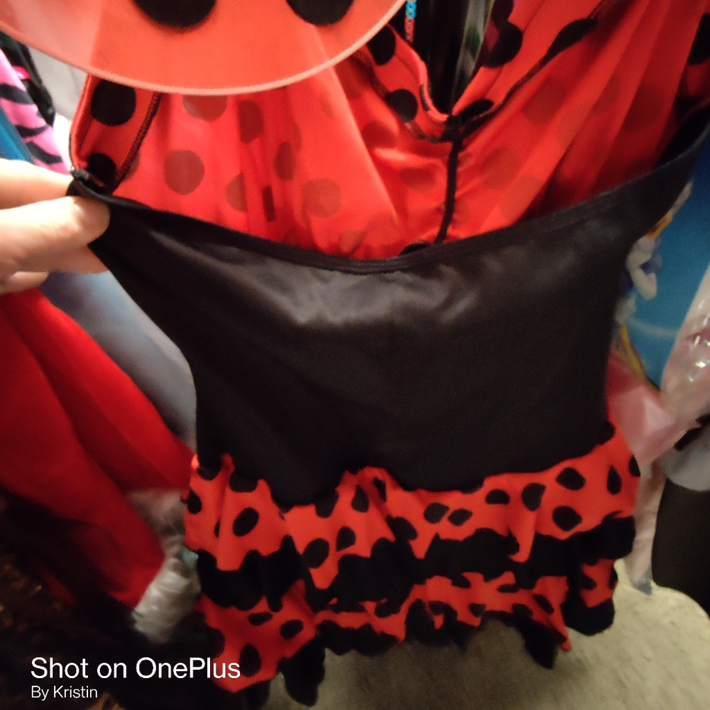 A ladybug Ladies costume - Picture 5 of 12
